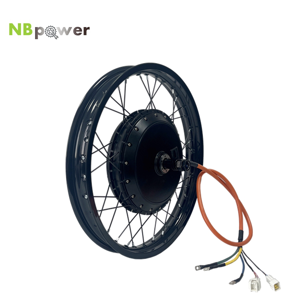 NBpower/170mm Dropout QS 273 4 - огляд і ціна Qs Motor 273 8000W Hub Motor